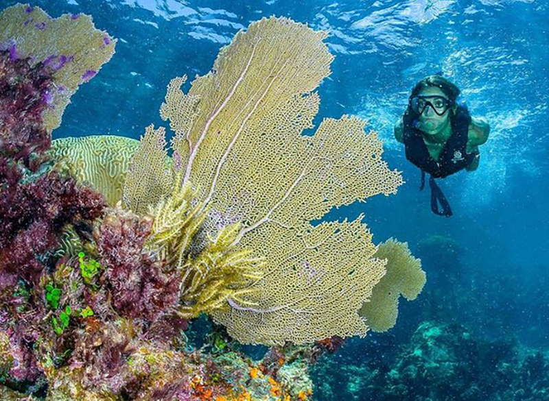 Snorkeling Puerto Morelos